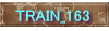 TRAIN_163